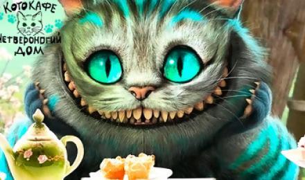 БЕЗ КОТА И ЖИЗНЬ НЕ ТА! От 30 грн.! Скидка до 40% на первый и последующие часы посещения антикафе с кошками "Четвероногий Дом"! Получите массу положительных эмоций в гостях у мурлыкающего чуда!