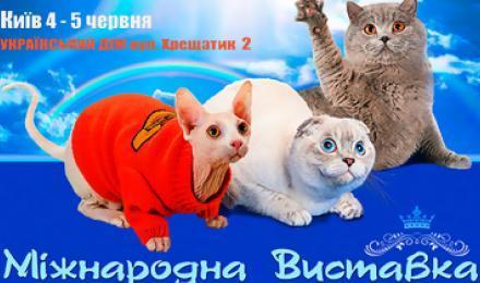 УСАТЫЕ ДРУЗЬЯ! Скидка до 40% на международную выставку кошек &amp;quot;Весенний Бал Кошек 2016&amp;quot; Фелинологического Альянса Украины &amp;quot;FAU&amp;quot;!