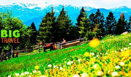 УСТАЛИ? ВАМ НУЖНО В КАРПАТЫ! Скидка до 35% трехдневный майский тур в Карпаты + Львов с проживанием и питанием от компании &amp;quot;Big Travel&amp;quot;!